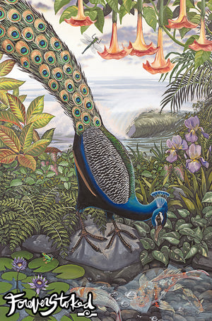 Koi with Peacock